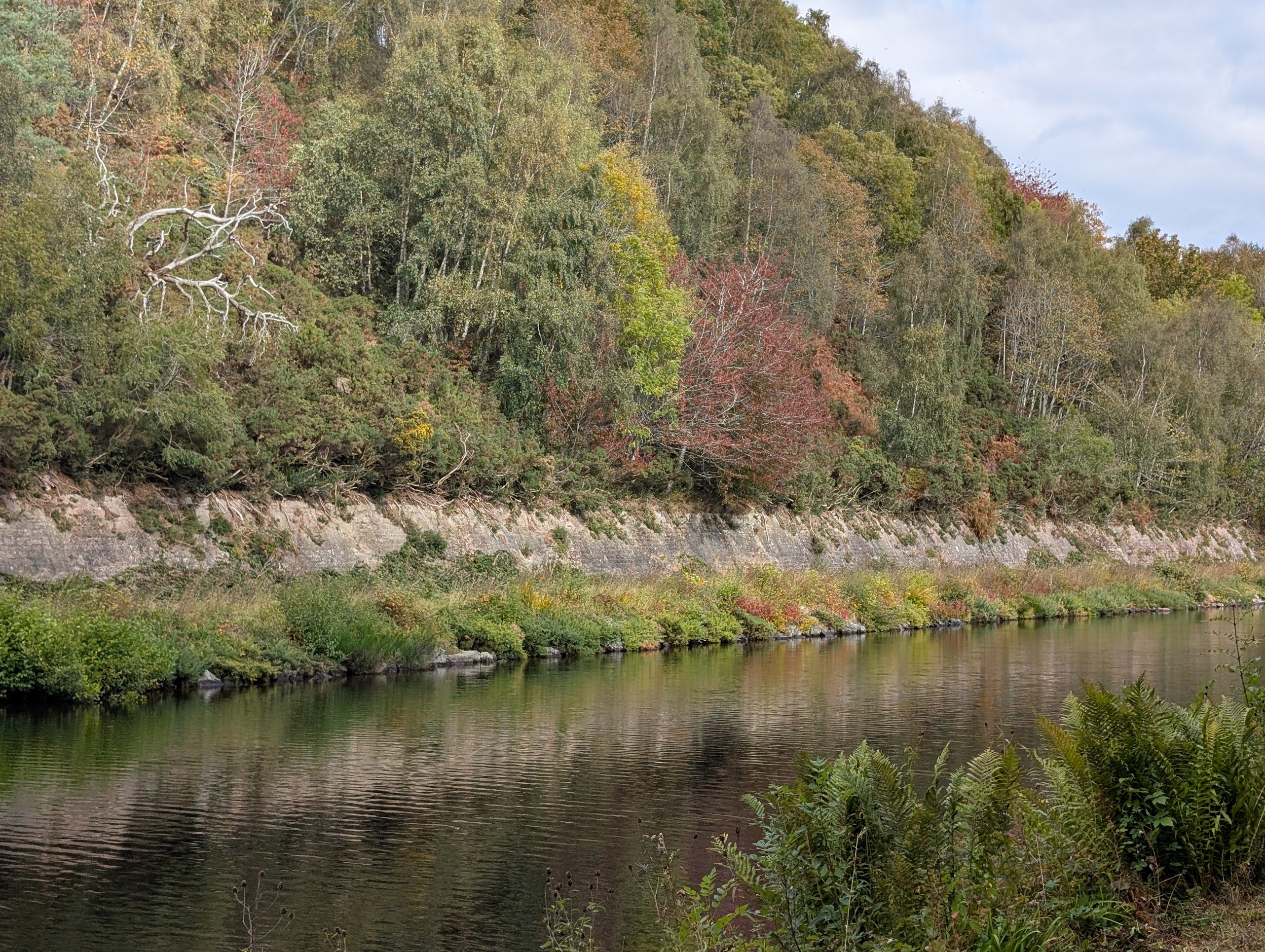 Description for Article 5 Image